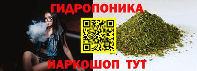 СК Кимры