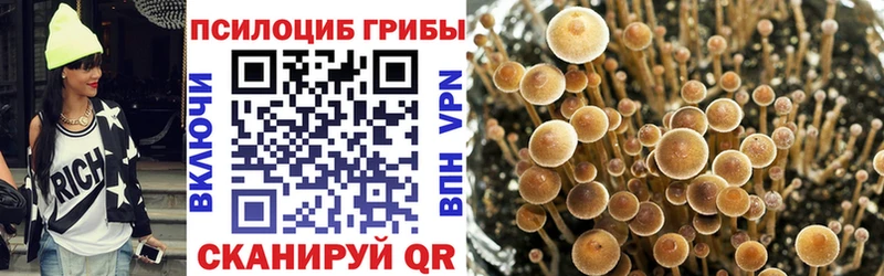 Галлюциногенные грибы ЛСД Краснотурьинск