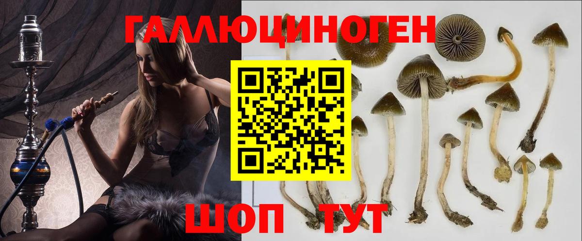 Краснотурьинск  Псилоцибиновые грибы MAGIC MUSHROOMS  Вход с VPN 