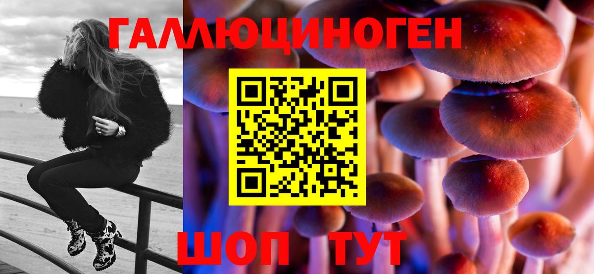 Псилоцибиновые грибы Psilocybe Краснотурьинск